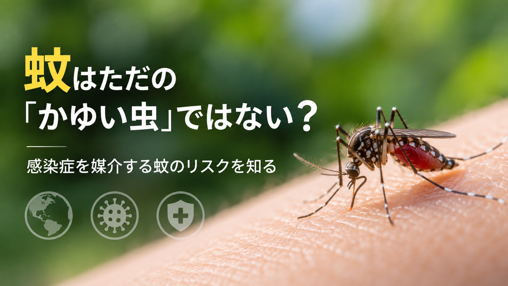 人の肌を吸血する蚊のアップ写真を背景に、「蚊はただの『かゆい虫』ではない?」と感染症を媒介する蚊のリスクを紹介する文字を配置した画像。