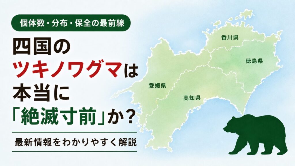 四国のツキノワグマの個体数や分布、絶滅リスクをテーマにした四国地図とクマのイラスト。