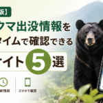 全国のクマ出没情報をリアルタイムで確認できるサイト5選を紹介する記事の画像。森林を背景にしたクマと、クマ出没マップを表示したスマートフォンのイラストが描かれている。