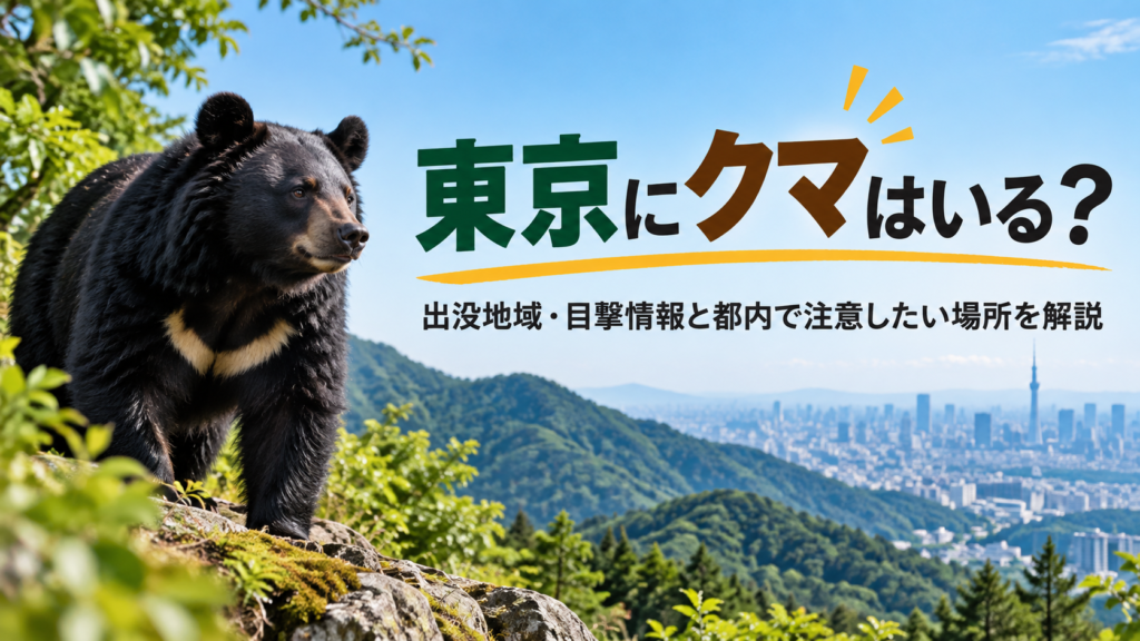 東京の山間部にいるツキノワグマと、奥多摩などの山々を背景にした東京都市部の風景。「東京にクマはいる?」と出没地域や目撃情報への注意を示す画像。